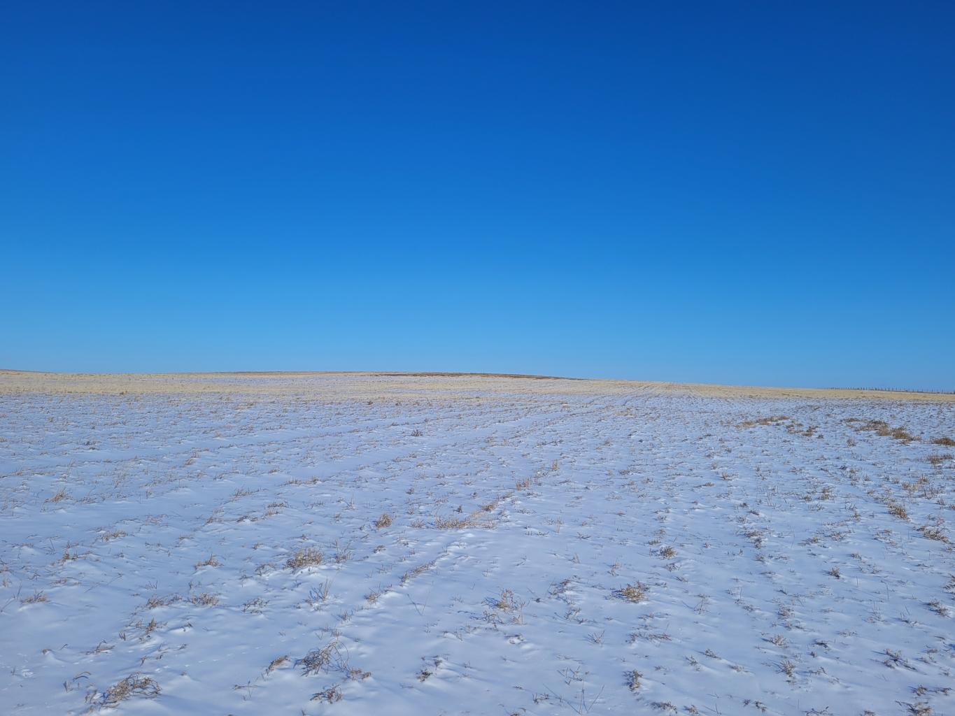 1739 +/- Acres of Golden Valley County, ND Cropland & Pasture For Sale at Public Auction