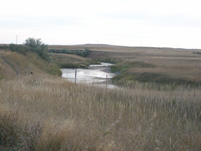 Farm and Ranch Land For Sale